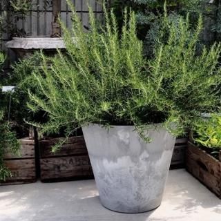 アンティーク・シャビー - おしゃれな植木鉢とプランターの通販専門店