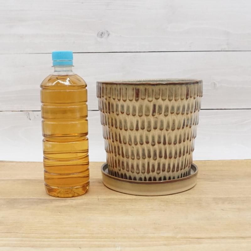 植木鉢 おしゃれ 陶器鉢 クラッツ ウロL (3色) 17cm 5.5号 穴あり