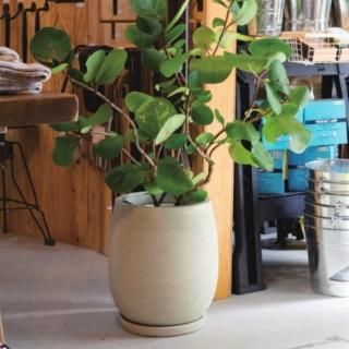 4001円～5000円 - おしゃれな植木鉢とプランターの通販専門店