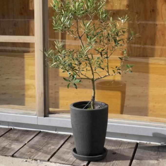 植木鉢・ガーデニングアイテム | 株式会社 友膳