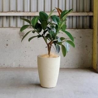 化粧鉢 植木鉢 Coffee Clay Pot 陶器 おしゃれ ポップ 鉢カバー 懸崖4