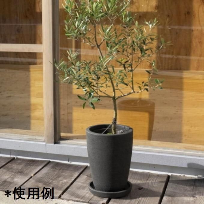 【なお】植木鉢＆受け皿_まとめ買い 楽天市場】受け皿 amabro アートストーン ソーサー SSSサイズ