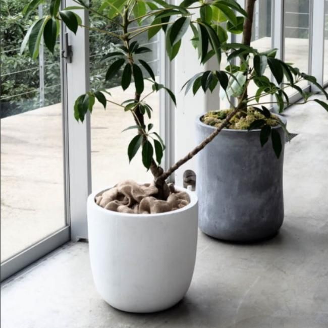 楽天市場】おしゃれ 植木鉢 鉢カバー 大型【バスクラウンド