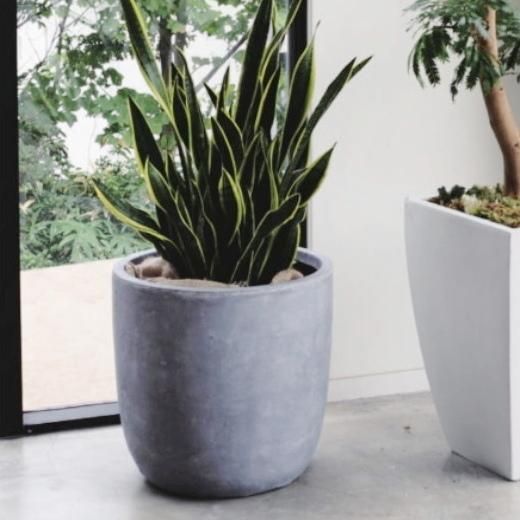 ファイバーセメントポット　Edinburgh Round　エディンバラ ラウンド ファイバーセメントポット Edinburgh Round エディンバラ ラウンド