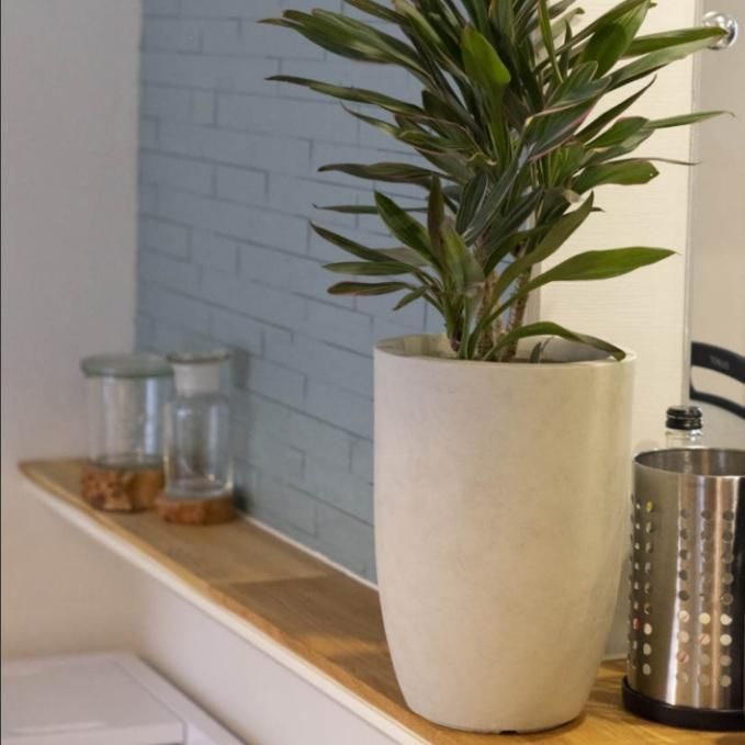 植木鉢 おしゃれ 軽い ニュートラコニック L 25cm 8号 ホワイト