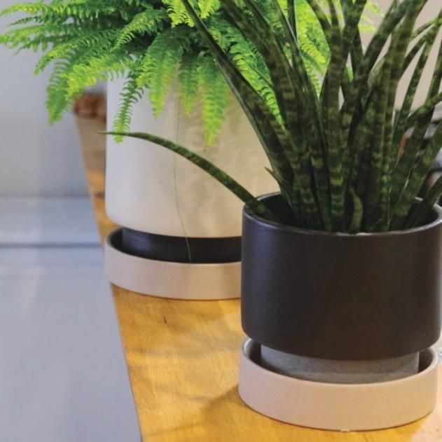 植木鉢 おしゃれ 陶器鉢 パラドックS＜ 18cm 6号 穴あり 白