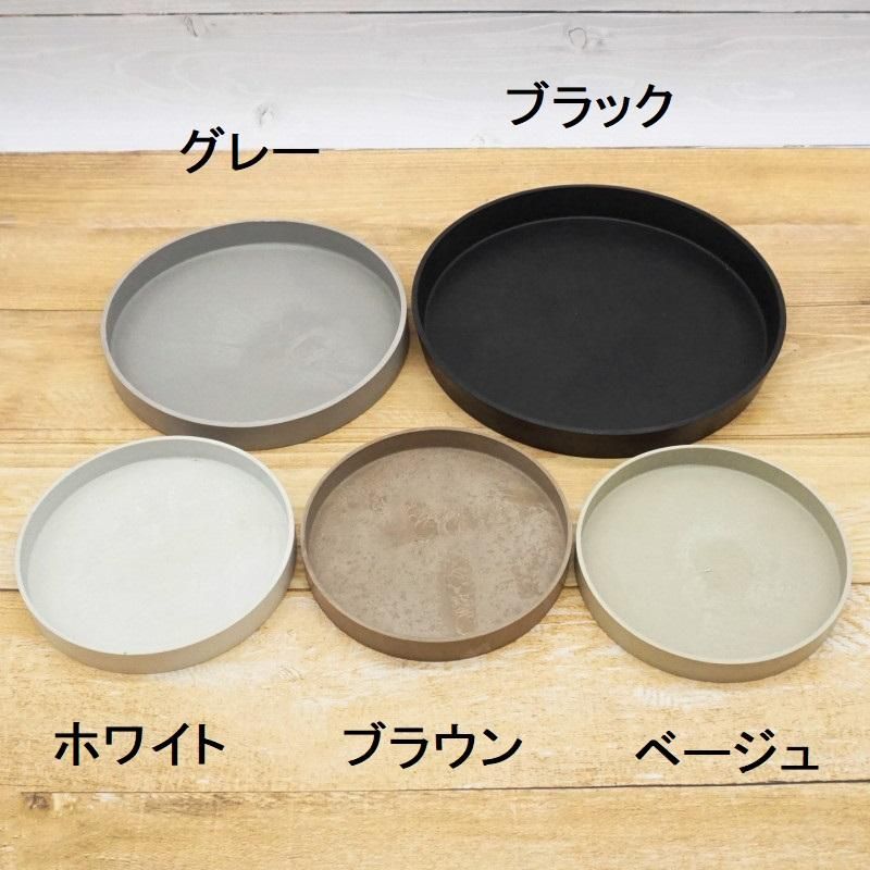 オーダー受付　マルチーズ　5/31 オーダー受付 マルチーズ 5/31 オーダー受付 マルチーズ 5/31 中国で