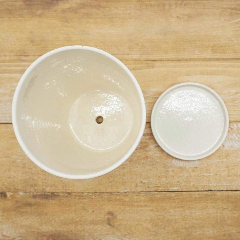 植木鉢 おしゃれ 陶器鉢 エッジトールL (2色) 16cm 5号 穴あり