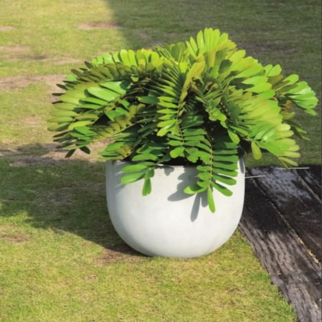 永樂　鉢　3点セット スリット鉢 EG-90L（3号ロング） 黒 10鉢セット – KUROKO