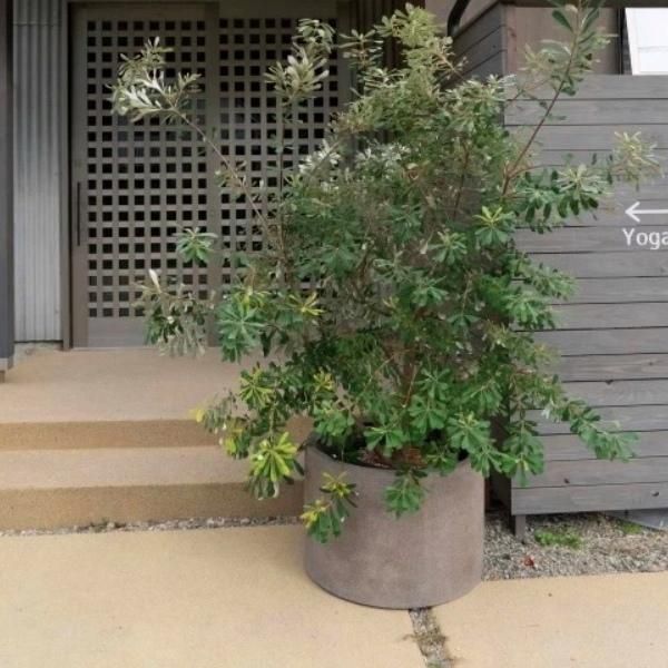 植木鉢 おしゃれ 軽い グラナイトローシリンダー L＜ 80cm 26.5号