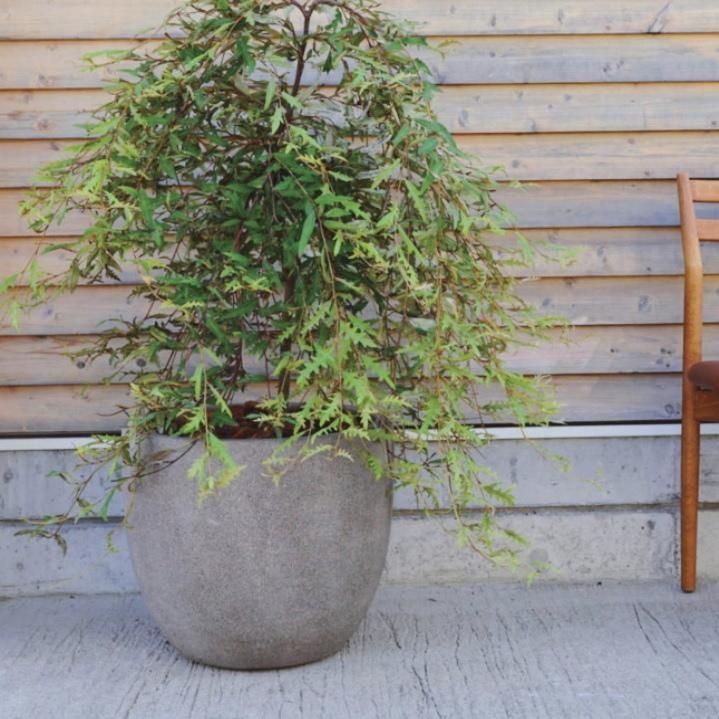 【入手困難】クラックスリット鉢 12 Tall マットブラック(2個)受け皿付き クラックスリット鉢 12 Tall | Green Mountain Store