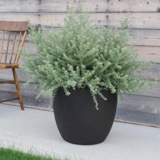 植木鉢 おしゃれ 軽い カンサラ L(2色) 43cm 14号 白 黒 プラスチック ホワイト ブラック 軽量 プランター 特大 大型 鉢