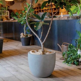 おしゃれな植木鉢とプランターの通販専門店 aarde（アールデ）