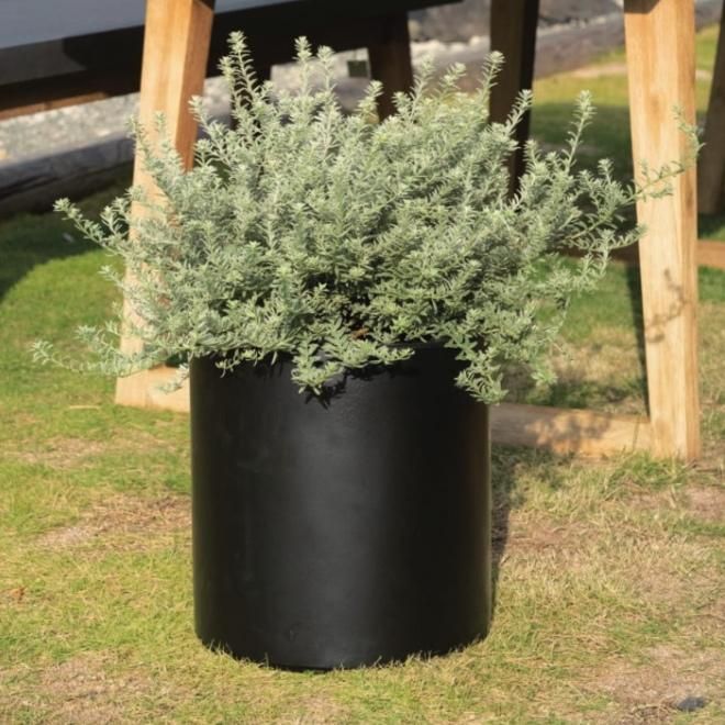 植木鉢 おしゃれ エイリアスシリンダー S 30cm 10号 セメント 白 黒