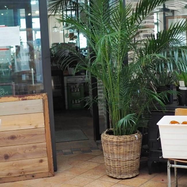 鉢カバー おしゃれ 軽い モンデリックラタン M 37cm 12号 ラタン 底穴