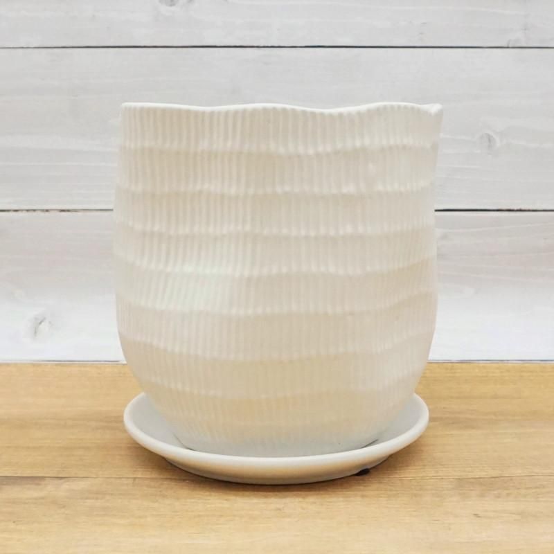 大鉢　2杯 植木鉢 おしゃれ 陶器鉢 ハピ2L(2色)＜ 18cm 6号 穴あり 受け皿あり