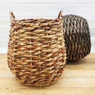カラテア&鉢カバー　2点セット カラテア&鉢カバー 2点セット
