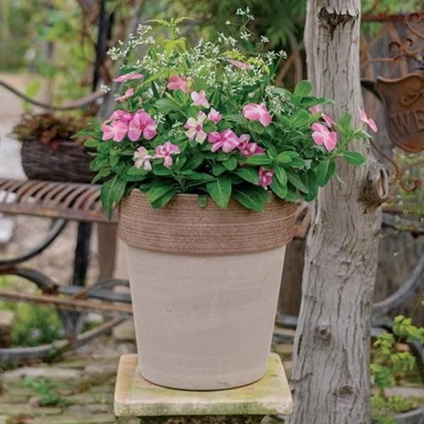 植木鉢 おしゃれ テラコッタ スクラッチアルトポットS< 19cm 6 植木鉢 おしゃれ テラコッタ スクラッチアルトポットS< 19cm 6