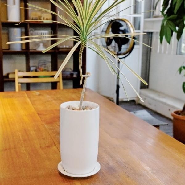 植木鉢　陶器　北欧風　高さ内19内幅17 白　アンティーク（小） h09-qp30.jpg