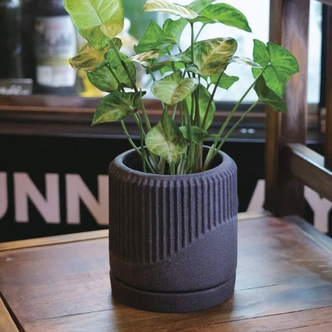 植木鉢 おしゃれ 陶器鉢 カスケードS (2色) 12cm 4号 穴あり