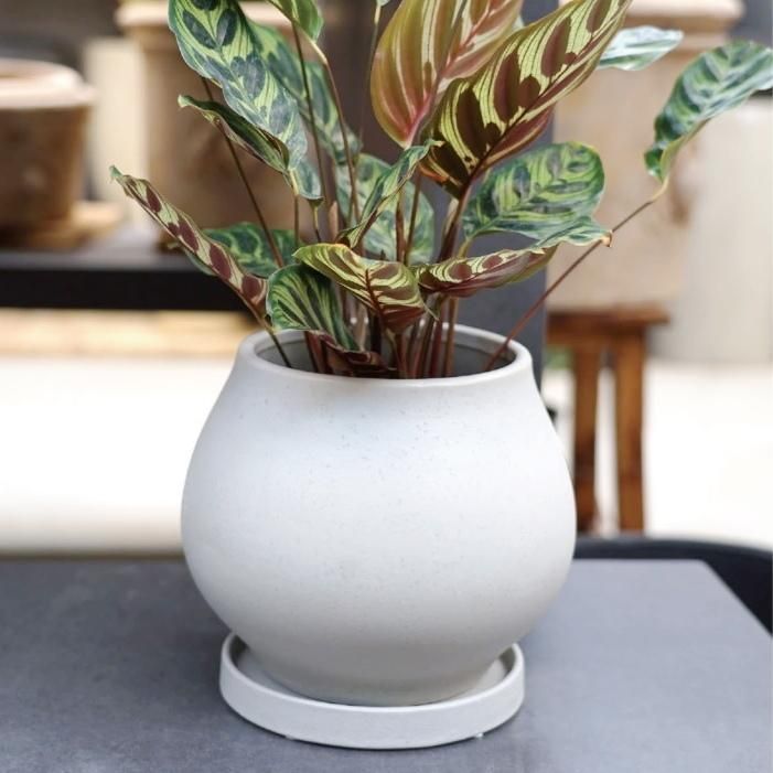 Laholm スウェーデン プランター 植木鉢 北欧 植木鉢 おしゃれ 陶器鉢