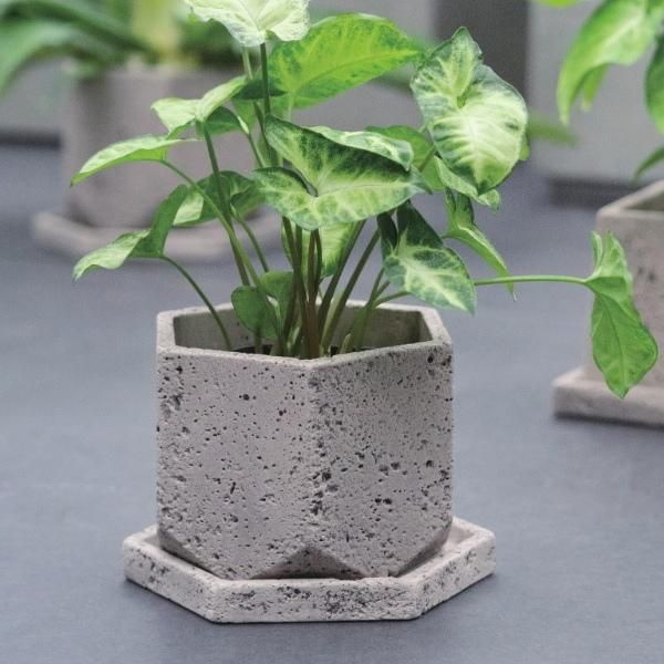 鉢 コンクリート おしゃれ アルボンヘキサゴンS 10cm 3号 グレー