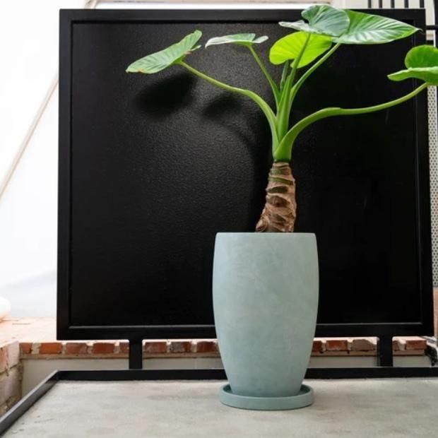 植木鉢 おしゃれ 陶器鉢 アイルトールS 22cm 7号 穴あり 受け皿