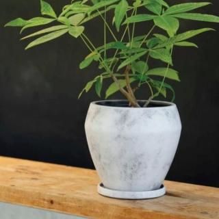 おしゃれな植木鉢とプランターの通販専門店 aarde(アールデ) おしゃれな植木鉢とプランターの通販専門店 aarde(アールデ)