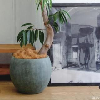 おしゃれな植木鉢とプランターの通販専門店 aarde(アールデ) おしゃれな植木鉢とプランターの通販専門店 aarde(アールデ)