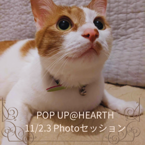 11/2.3 POPUP@HEARTH  PHOTOセッション