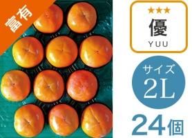 ͭ ͥ 2L 24