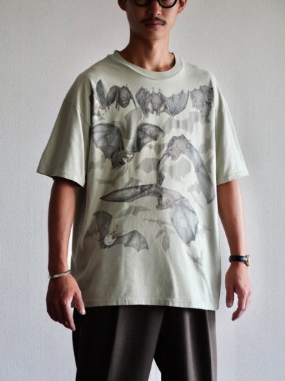 1990's Vintage Printed T-shirt "Bats of the world"
