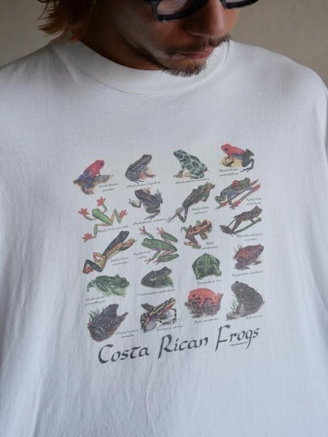 1990s Costa Rican Frogs Printed T-shirt