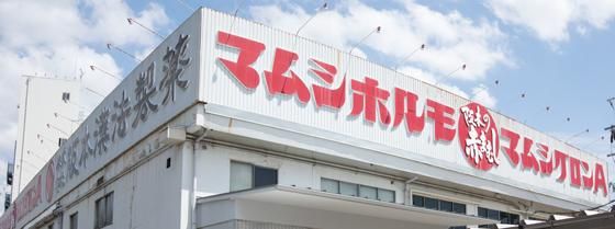マムシホルモ 1本 【第2類医薬品】 - 株式会社阪本漢法製薬 公式