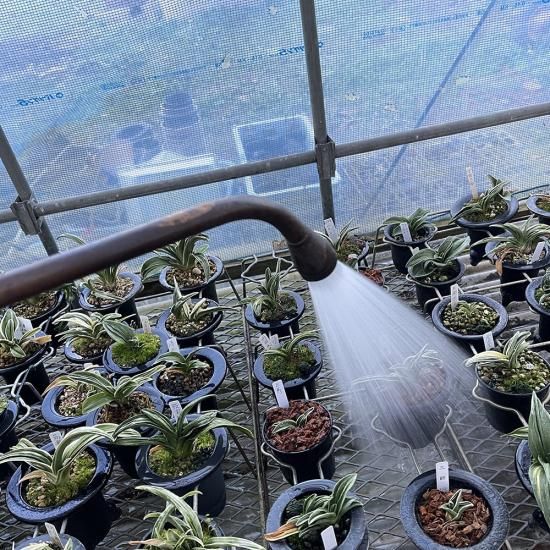 ڵۻΥ륷硼