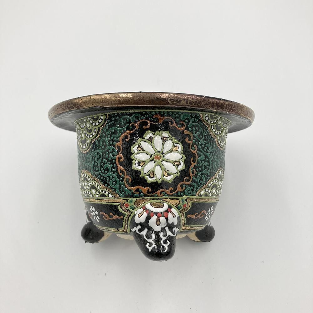 富貴蘭鉢／梅花絵】錦鉢15【サイズ3.3号】 - 田哲園・万年青