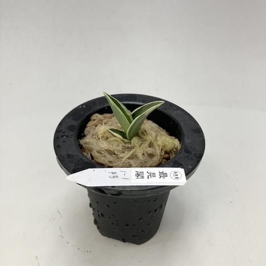 
r2 ǹ()<br>ΩաεԤ🌱<br>ڰ᤭ġ