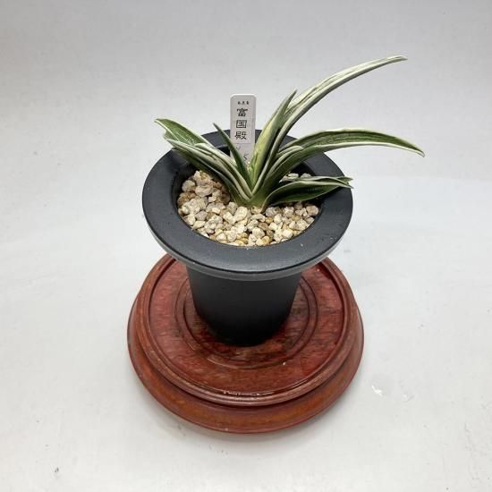 
r18 ٹ(դǤ)<br>ںա̩շݡ̾🌱<br>3͡