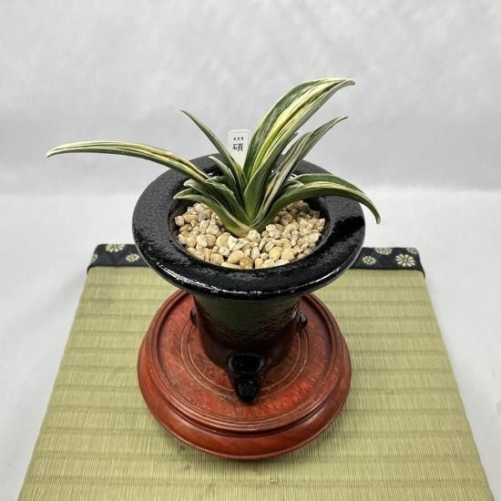 
r26 ٻ()<br>ڲεܷ🌱<br>ں¿3͡