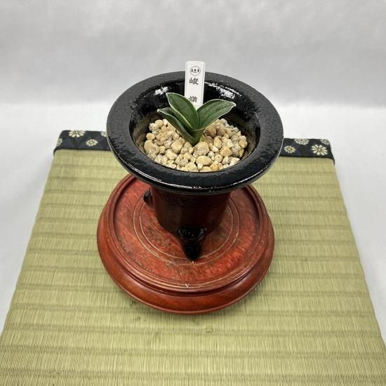 
r27 (줤)<br>ڥڡɷ🌱<br>1ڤġ