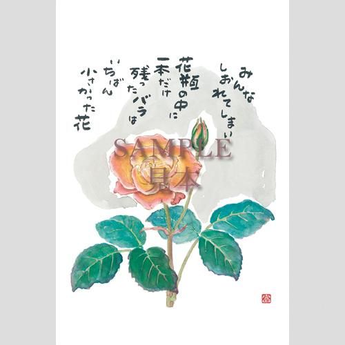 真作/弘/牡丹の詩/書/横物//掛軸☆宝船☆AA-477 真作/弘/牡丹の詩/書/横物//掛軸☆宝船☆AA-477