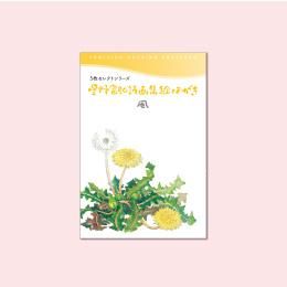 星野富弘 花の詩画の絵葉書 花の詩画集絵ハガキ2枚 富弘美術館