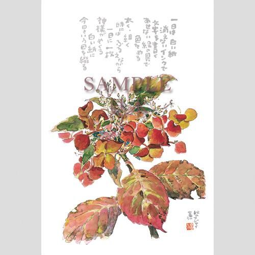 1208 絵はがき5枚セレクトシリーズ「今日」 - 星野富弘詩画集ネット