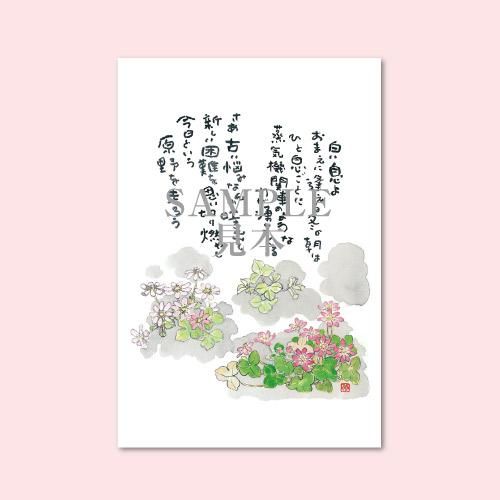 昭和レトロ ゆきとはなびら 詩 画集 限定500のうち166番 作品集 出版物 旧版〉詩画集 チッチとサリー - 中古絵本と、絵本やかわいい