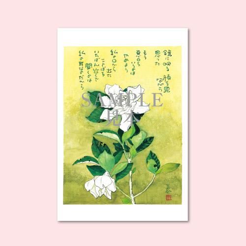 昭和レトロ ゆきとはなびら 詩 画集 限定500のうち151番 作品集 出版物 1209 絵はがき5枚セレクトシリーズ「明日へ」 - 星野富弘詩画集
