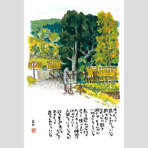 1214 絵はがき5枚セレクトシリーズ「感謝」 - 星野富弘詩画集ネット