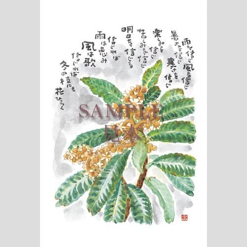 1214 絵はがき5枚セレクトシリーズ「感謝」 - 星野富弘詩画集ネット