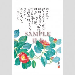<img class='new_mark_img1' src='https://img.shop-pro.jp/img/new/icons31.gif' style='border:none;display:inline;margin:0px;padding:0px;width:auto;' />4283Ϥ5ȡ
