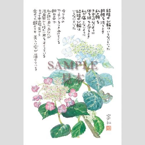 4235 絵はがき5枚組 がくあじさい 星野富弘詩画集ネット 4235 絵はがき5枚組 がくあじさい 星野富弘詩画集ネット