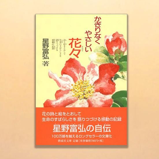 かぎりなくやさしい花々 - 偕成社 | 児童書出版社